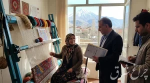 آغاز پرداخت تسهیلات مشاغل خانگی در دماوند با سقف ۵ میلیارد تومان